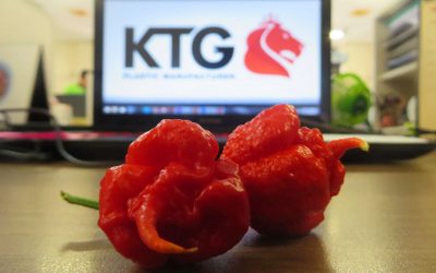 Tertarik Menanam Carolina Reaper?
