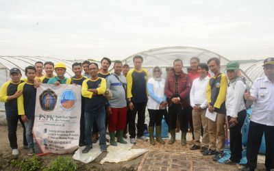 Mega Tunnel Salt GreenHouse System – Inovasi Sukses Bertani Garam Di Segala Cuaca