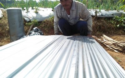 Petani, Pahlawan Pangan Negeri.