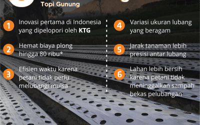 6 Fakta Mulsa Plong KTG yang Menguntungkan  Petani