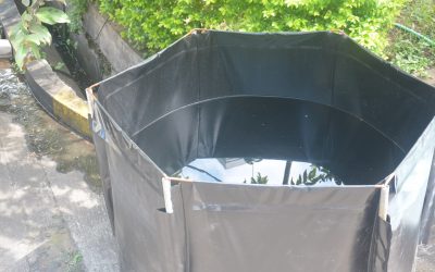 Budidaya Dari Rumah di Tengah Pandemi