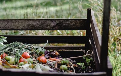 Cara Mudah Buat Pupuk Kompos Dari Sampah Dapur