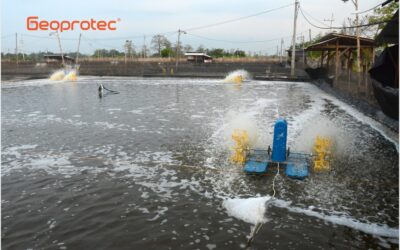 Inovasi Mendalam di Bidang Pertanian: Memanfaatkan Geomembrane untuk Revolusi Irigasi dan Pengelolaan Air Tanah
