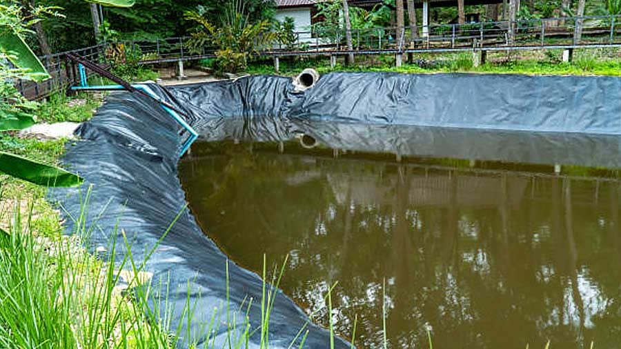 geomembrane untuk kolam limbah