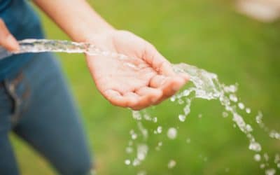 Penampungan Air untuk Penghematan, Ketahui Manfaatnya