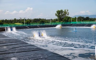 Mengenal 3 Tipe Geomembrane
