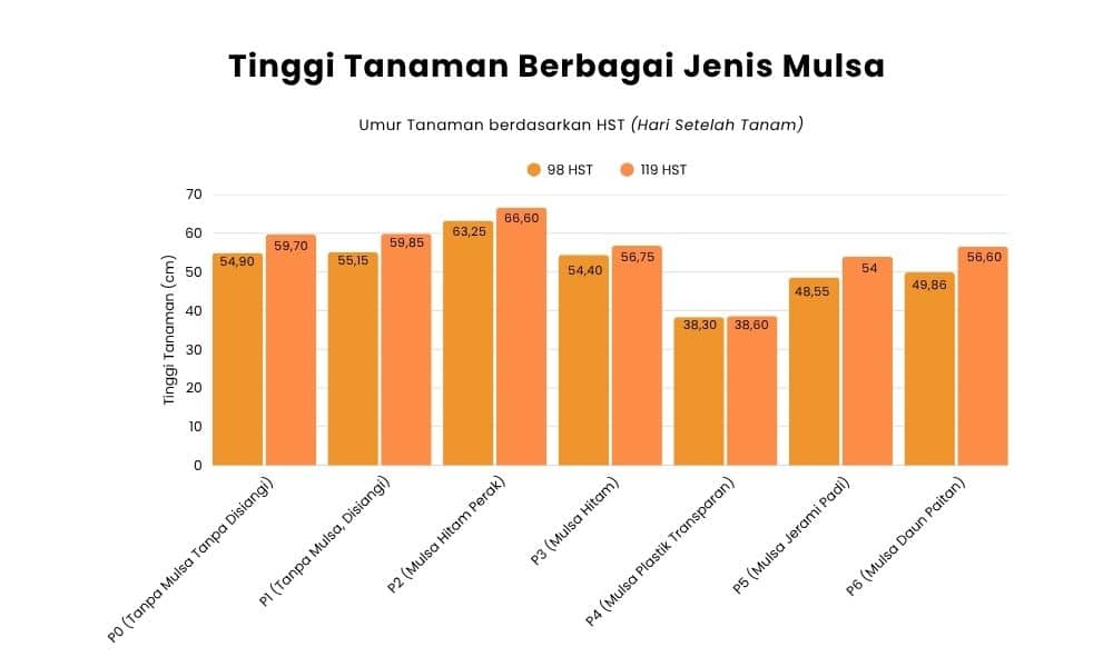 Umur Tanaman HST (Hari Setelah Tanam)