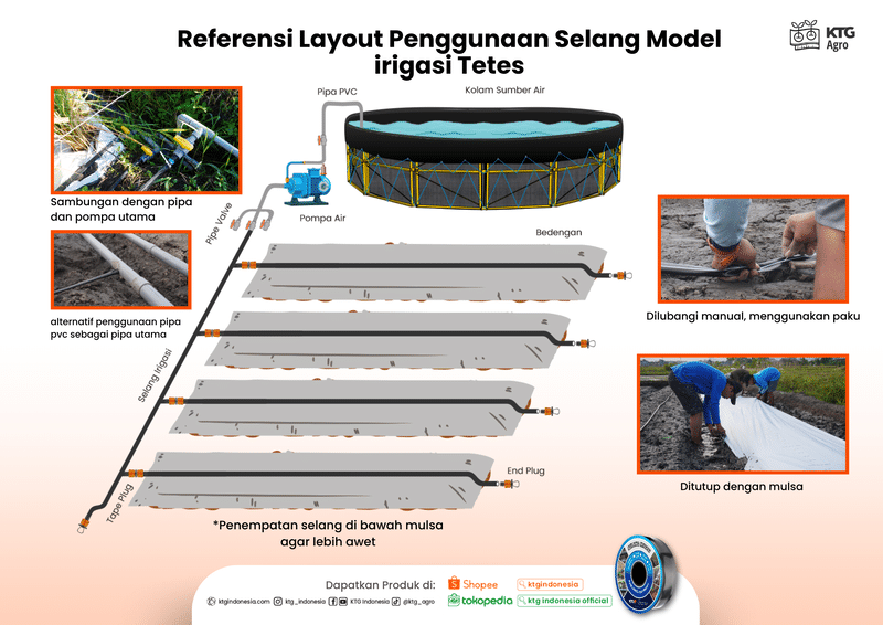 Infografis layout selang irigasi PE
