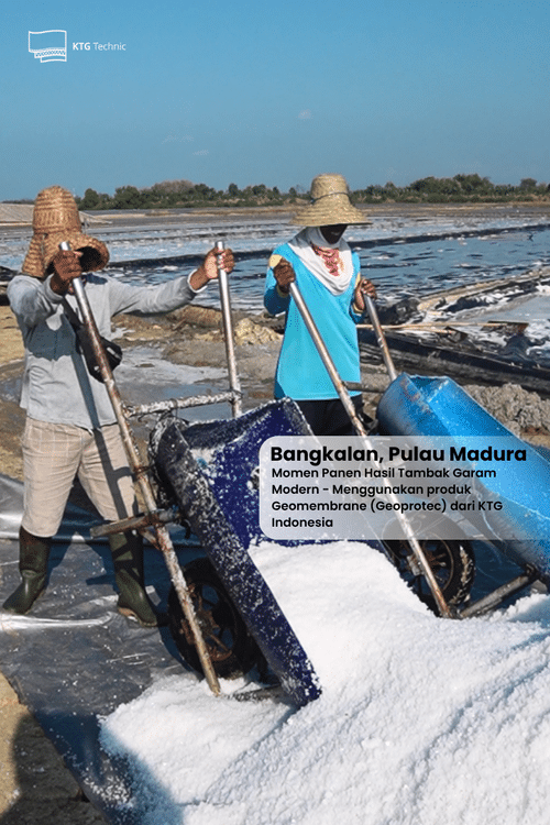 Panen hasil tambak garam modern
