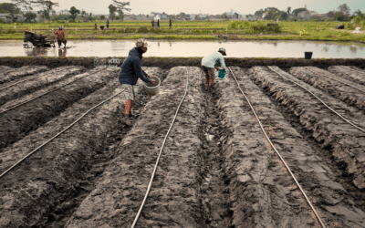 Tips Memilih Selang Irigasi Sesuai Jenis Lahan dan Budget Petani