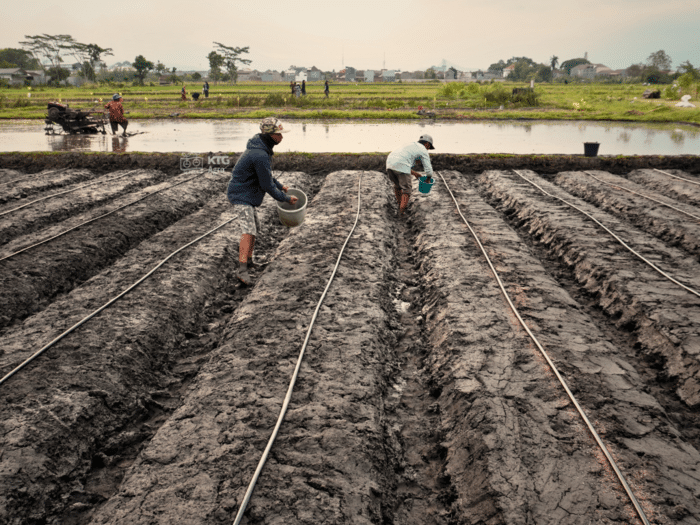 Tips Memilih Selang Irigasi Sesuai Jenis Lahan dan Budget Petani