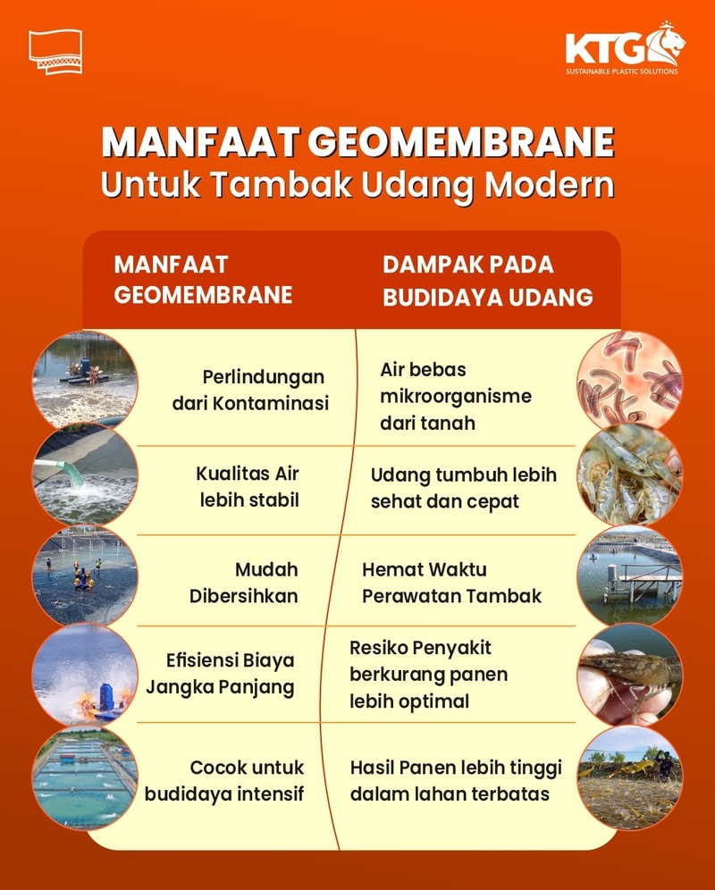 Infografis KTG Teknik - Tambak Udang Modern