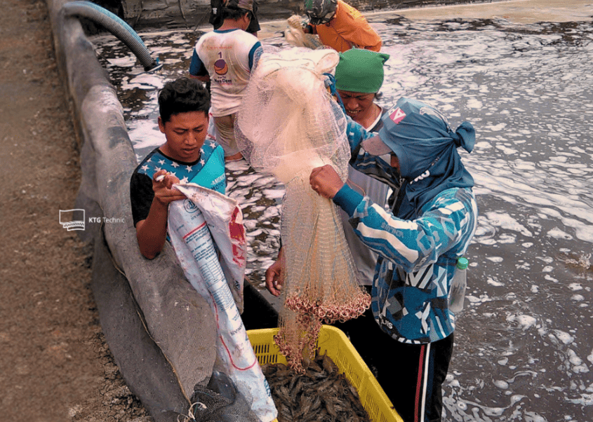 Petani mengumpulkan hasil panen