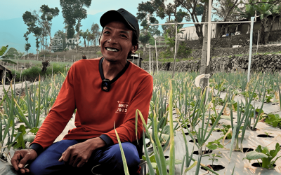 Rahasia Mulsa Plastik Bisa Tahan hingga 2 Tahun:  Ini Penjelasannya!