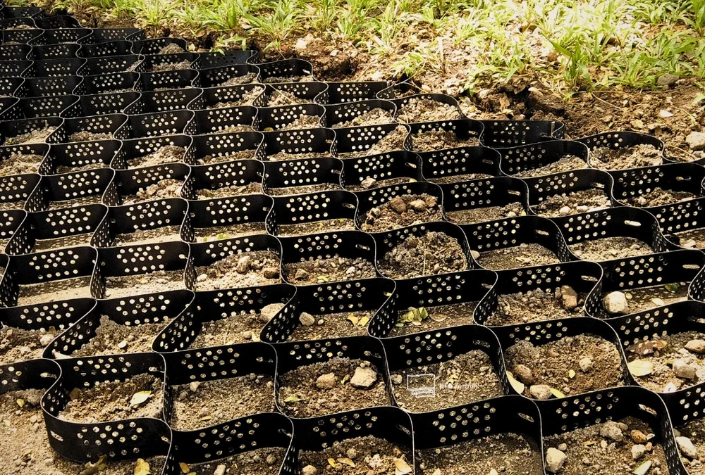 Perbandingan struktur drainage cell vs geocell KTG untuk roof garden