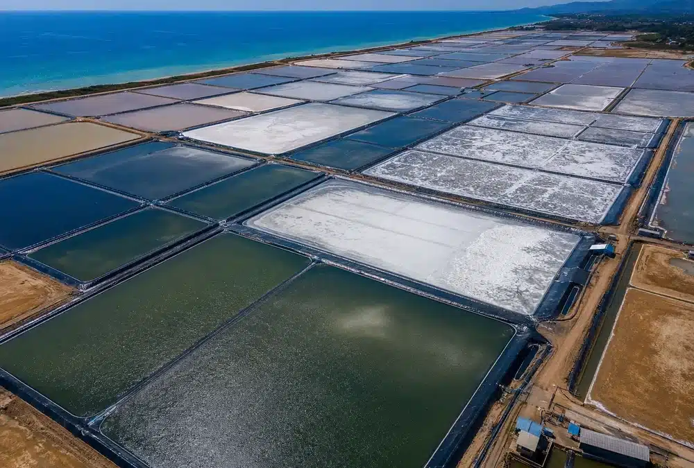 Custom ukuran geomembrane tambak garam