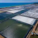 Custom ukuran geomembrane tambak garam