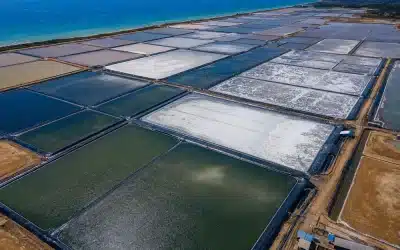 Cara Menghitung Kebutuhan Geomembrane untuk Tambak Garam: Kapan Perlu Custom Ukuran?