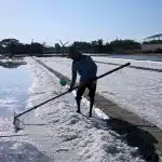 Geomembrane tambak garam