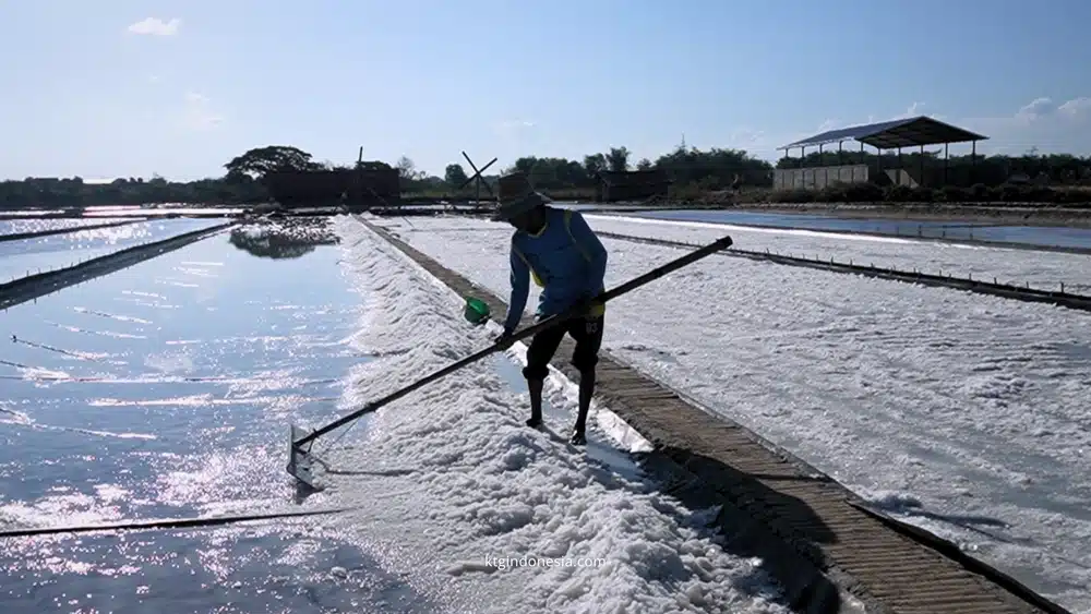 Geomembrane tambak garam