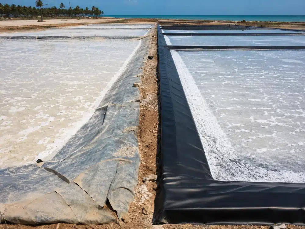 Plastik tambak dan geomembrane