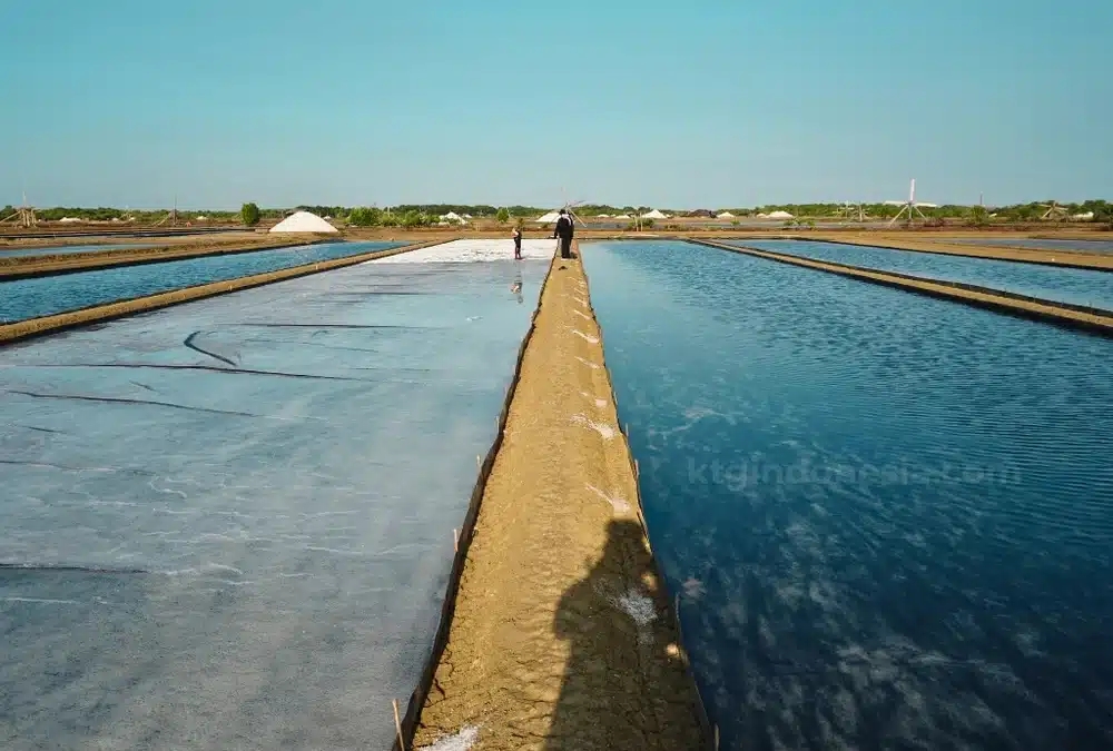 Geomembrane HDPE