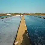 Geomembrane HDPE