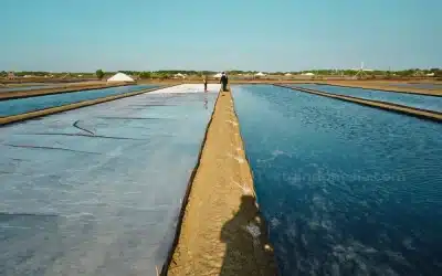 Mengapa Tambak Garam Justru Membutuhkan Geomembrane HDPE dengan Kualitas Terbaik?