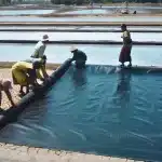 Geomembrane HDPE bisa digulung