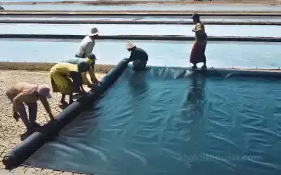 Langkah Perawatan Geomembrane HDPE Saat Masa Jeda Produksi: Digulung vs Dibiarkan Terpasang?