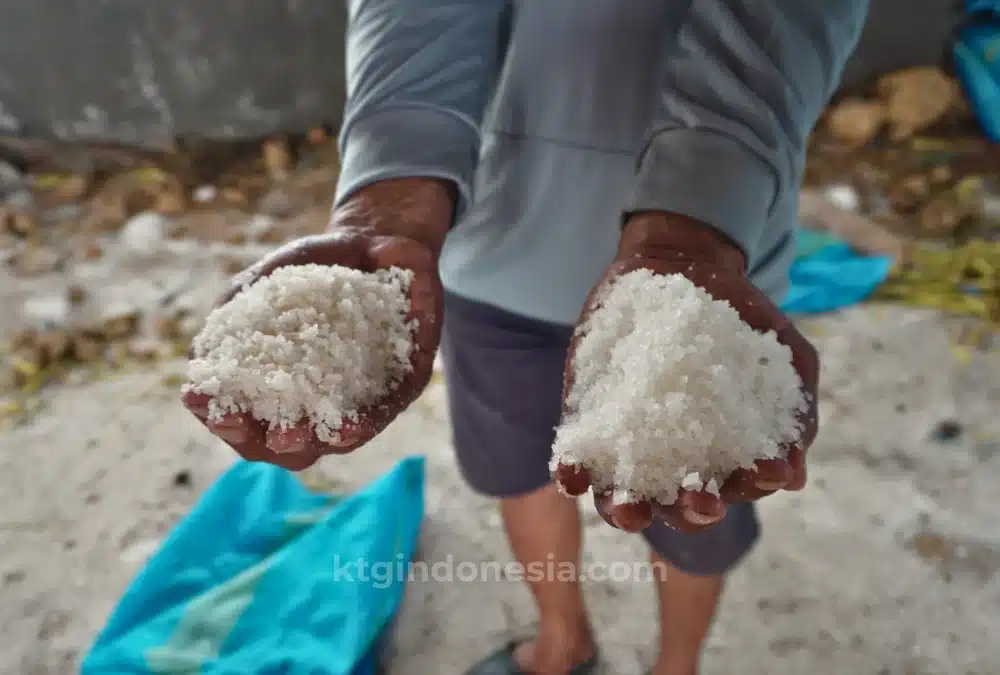 Hasil panen tambak garam
