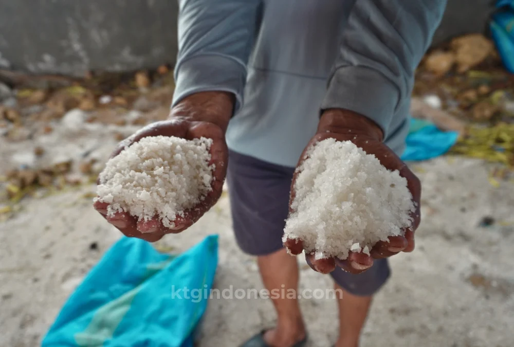 Hasil produksi garam