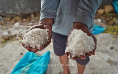 Hasil Produksi Garam Tidak Konsisten? Ini Masalah Tambak yang Sering Terlewat