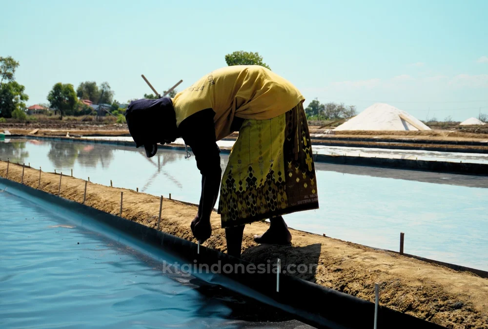 Ketebalan geomembrane tambak garam
