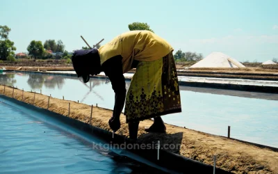 Geomembrane HDPE untuk Tambak Garam: Berapa Ketebalan Ideal?