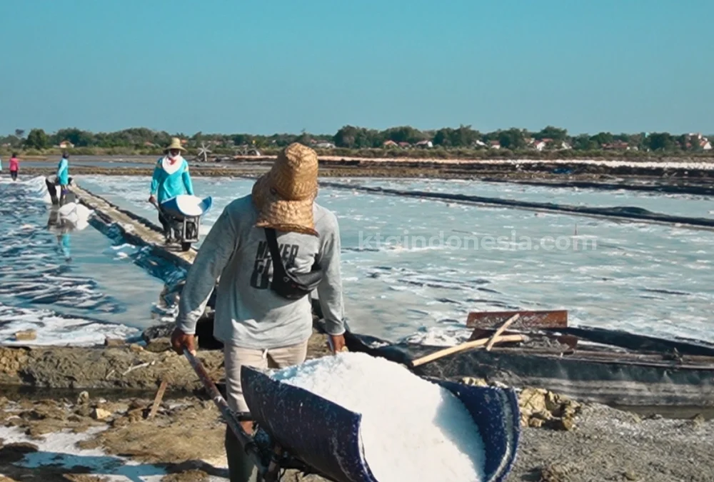 Produksi garam saat cuaca tidak menentu